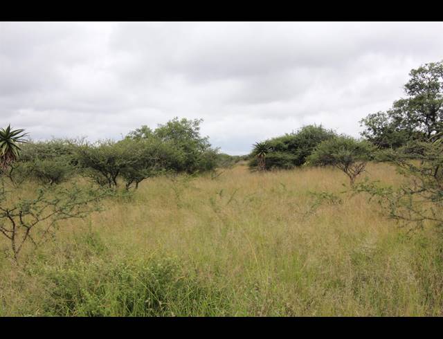 23HA VACANT LAND FOR SALE IN BENDOR